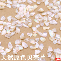 Natural primary color Shell Shell Shell shell particles shell powder nail paint lacquer painting inlay specifications complete without fading