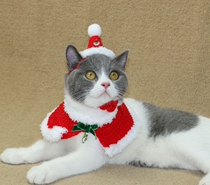 Special cat dog pet Saint Christmas hat Cape Teddy small dog change decoration holiday costume
