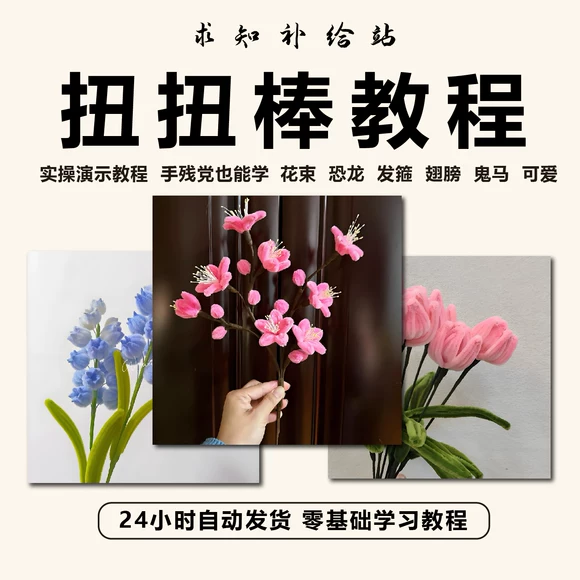 扭扭棒教程书恐龙扭扭龙diy手工花束扭来扭去的毛根毛条教学素材