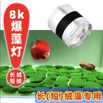 Fish tank 8K algae explosion lamp long velvet algae short velvet algae special aquarium lamp full spectrum out green moss downlight lamp stand Moss