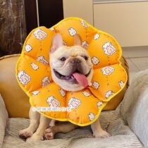 Small eyes Home Pet Sun Flower Cat Cat Pooch Elizabeth anti-licking ring soft and waterproof headgear Sunflower