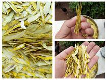 21-year-old Guizhou Chishui specialty Chishui nobile dendrobium slices dry goods 50 grams