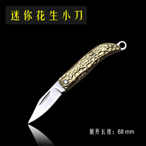 Brass mini knife outdoor portable tool pocket peanut folding knife Mini small fruit knife foldable letter opener