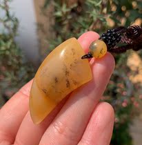 Yang Yujia natural yellow dragon Jade chicken oil yellow water flower Tiger tooth pendant pendant certificate new popularity