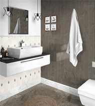 Roman era Armani Brown 9FMB2012PCM