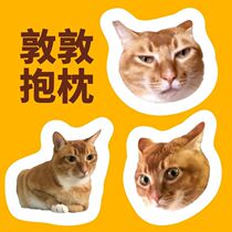 Douyin Dundun pillow custom Net red cat Guo Guo Tongcheng surrounding Pier Chen Bifang emotio package to customize