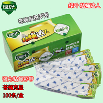 100 green leaf sticky fly ribbon strips sticky fly paper fly paper sticky fly paper fly fly stick strong home can hang