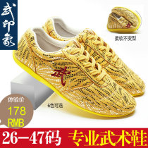 Changquan martial arts shoes Childrens martial impression Taiji shoes mens soft beef tendon womens training shoes soft bottom thin soles shoes training shoes