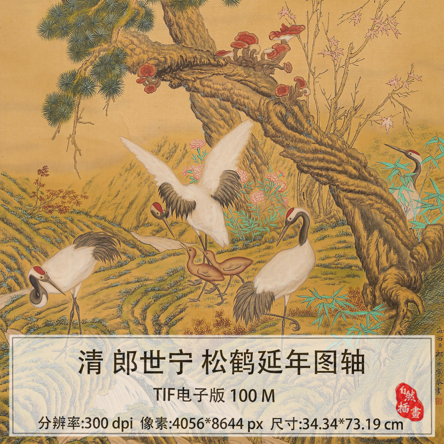 松鹤延年国画挂画-松鹤延年国画挂画促销价格、松鹤延年国画挂画品牌- 淘宝