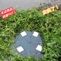 Eel cage eel cage homemade eel fish Loach Cage 4 water floating yellow eel cage catch eel net eel special purpose