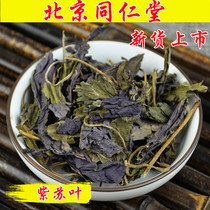 Beijing Tongrentang perilla leaf 250g wild perilla leaf tea Rook fish shrimp and crab seafood to remove fishy spices
