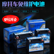 Motorcycle battery 12V9a battery maintenance-free universal 125 moped battery scooter 12v7ah battery