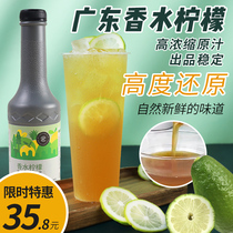 Listen to Tea Niyu Perfume lemon juice concentrate Hand-made Thai green lemon tea Guangdong perfume lemon 6 times diluted 1kg