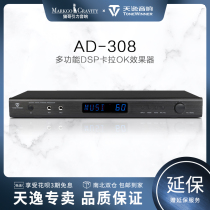 Winner AD-308 Professional karaoke reverberator Home ktv digital pre-stage effect device