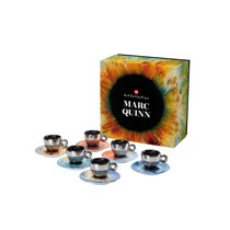 Italy illy Collection Cup 18 years Marc Quinn Marc Quinn Espresso Cup Cappuccino Cup