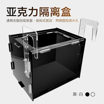 Fish tank isolation box acrylic isolation box Black White incubator box aquarium small fish breeding Fry breeding box