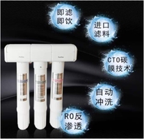 Ecowater water purification end direct drinking machine