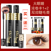 Kazilan big eyes mascara waterproof slender curl non-sickness encryption lengthening thick thick curl Feng 1 2