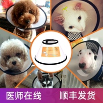 Pet Elizabeth Circle Cat Dog Dermatology Protective Sleeve Dog Cat Anti-scratching neck ring Anti-biting anti-licking ring Stigma Hood