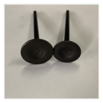 Applicable to motorcycle country three applicable GZ150-A intake and exhaust valve EN150-A EN150 EFI valve combination