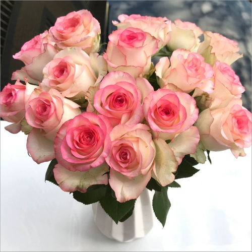 Цветочный юньнань база прямой розовый rose express доставка прохождения города Айша домой день рождения 520 День святого Валентина подарок