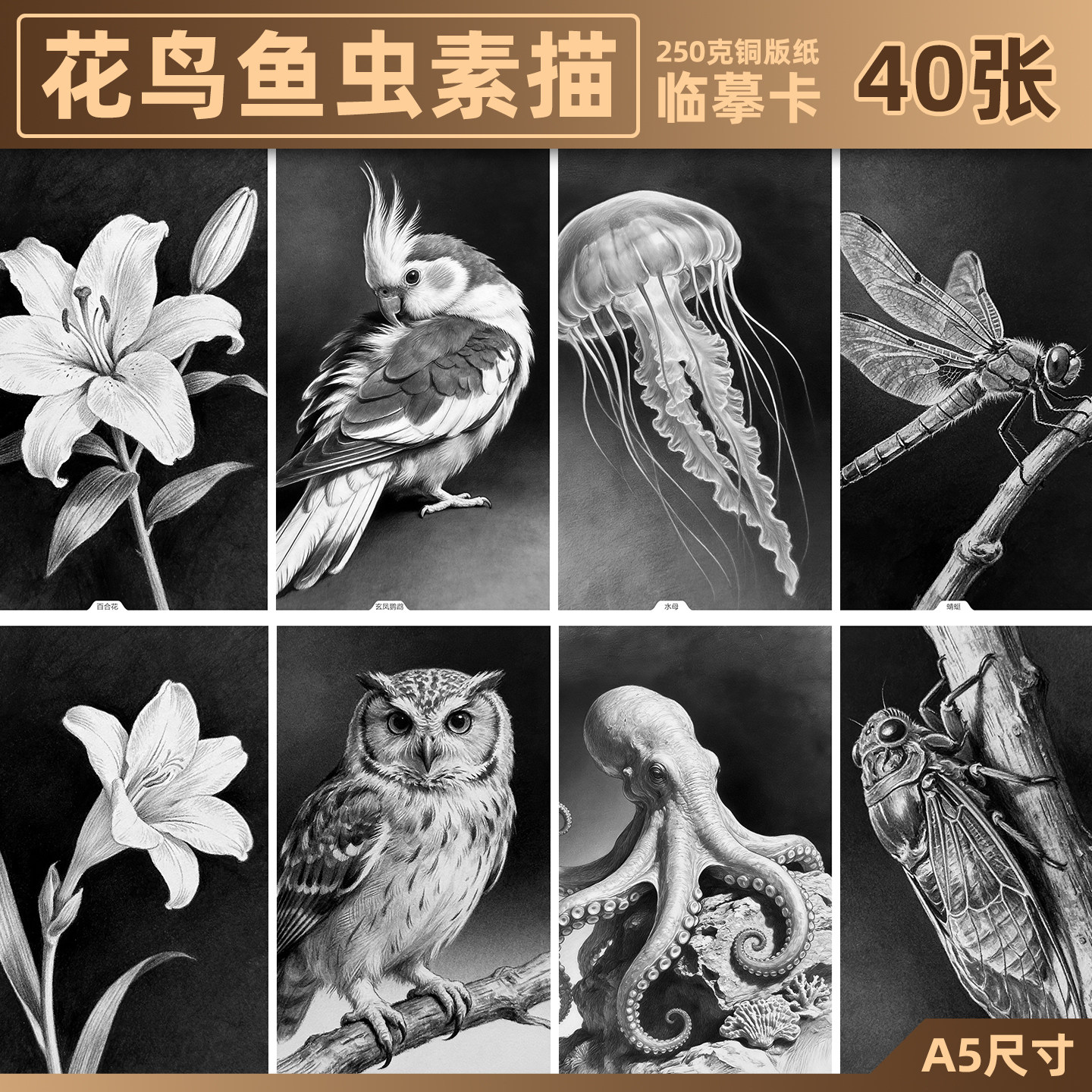 花鸟鱼虫画-花鸟鱼虫画促销价格、花鸟鱼虫画品牌- 淘宝