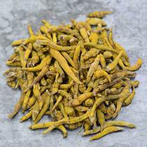 Laos Tiger tooth Dendrobium sulfur-free tin strips Dendrobium spores Golden strips short branch dry goods grind powder shredded