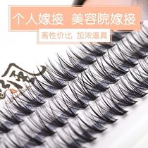3D solid mink wool grafting false eyelash with natural dense roll and black soft single tuft 20 types of eyelashes