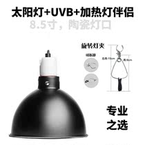 Reptile lampshade climbing pet heating lampshade sun lamp heating lamp reflection deep barrel lampshade ceramic Port lamp holder 8 5 inches