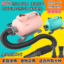 Divine Treasure Black Diamond Large Canine Teddy Gold Wool Cat Dog Hair Dryer High Power Silent Pet Blow Water Machine