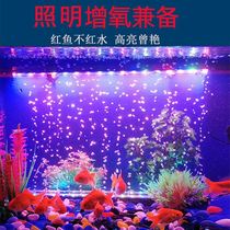 Energy-saving oxygenated color changing water colorful lighting Phantom color automatic beautiful fish cylinder lamp lighting led waterproof bubble