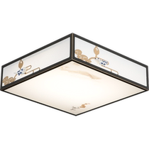 Five light and a new Chinese style suction light wx23327-China