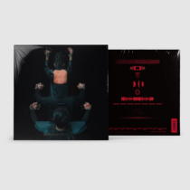 Exclusive authorized spot Mandarin album reprint 12 inch vinyl 2LP