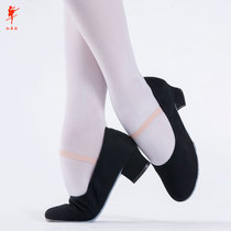 Red dance shoes Ballet practice shoes Grading belt heel teacher dance shoes Skill dance shoes female black cloth 1013