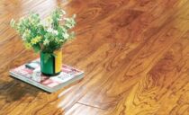 Nature Solid Wood Multilayer Elm BH9D7M
