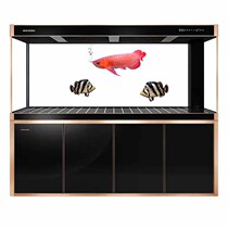 Customized Minjiang Fish Tank Living Room Large Floor Bottom Filter Ultra White Glass Jinlong High-end Intelligent Mute Power Saving