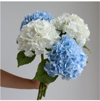 Super realistic feel moisturizing hydrangea simulation flower high-grade 2020 new living room table decoration fake flower photo props
