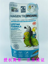 Imported Hagen Daily 4mm Granules Nourishing Shot Raw 1 8 lbs Bird grain suitable for medium large parakeets 22 6
