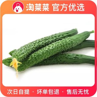 Summer cool cucumber (give away a bag of peeling) 500g ± 50g/serving