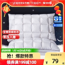 Antarctic feather pillow white goose feather pillow home adult single double five star hotel pillow core