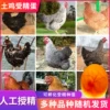 Товары от 皓迪091220