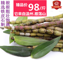Selected fresh strips Yueqing Yandang Mountain fresh Dendrobium candidum fresh strips Huoshan imitation wild tin Maple bucket a catty