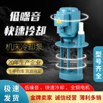 Machine Tool Cooling Pump Three-phase Electric Pump 380V Oil Pump DB12AB25JCB Grinding Drill Punch Wire Cutting Silent Cycle