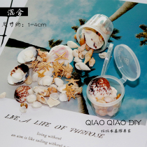 Qiaoqiao UV epoxy natural shell starfish conch crafts Shell starfish conch ornament Mini sea sand