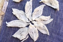 Ji Zhenbu Birds Nest Danyan Indonesian Yanzhan Store Pregnant Womens Birds Nest Non-Malaysian Birds Nest Specials