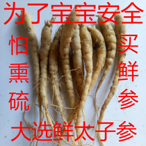 Fresh elections pseudostellaria heterophylla Guizhou cattle field pseudostellaria heterophylla fresh wet pseudostellaria heterophylla of pseudostellaria heterophylla