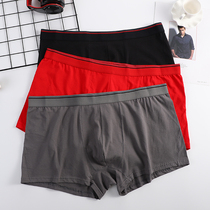 Fats plus fattening up pure cotton big code loose briefs flat corner pants full cotton comfort chubby size 4-corner pants