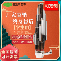 21 Reed D C tuning Sheng semi-amplification Sheng musical instrument fine art Wang Ze Shuang children Primary School students freshman solo elective