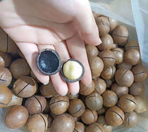 New Hawaiian fruit bagged cream snack nuts in bulk Bulk with open shell