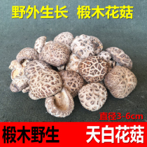  Tianbai flower mushroom Basswood wild dried Xiangru Hubei specialty farm mushroom premium Fangxian small flower mushroom dried goods 500g